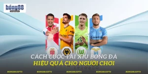 Cách Cược Tài Xỉu Bóng Đá Hiệu Quả Cho Người Chơi