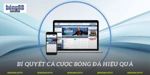 Bí Quyết Cá Cược Bóng Đá